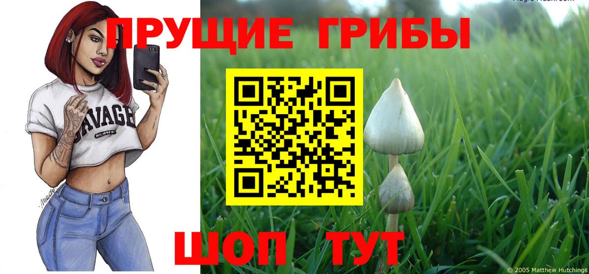 Метамфетамин Вышний Волочёк